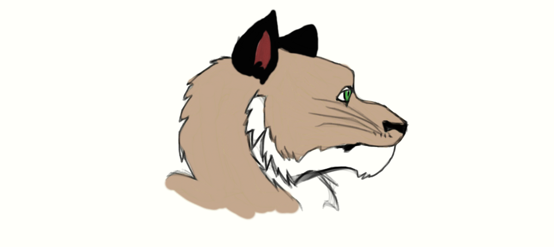 1125x502 Mountain Lion