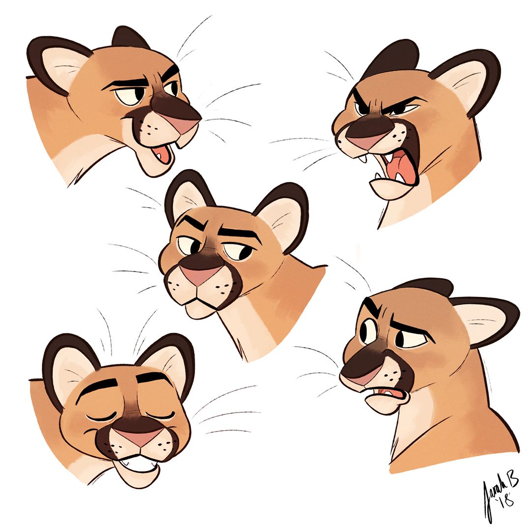 1080x1080 A Mountain Lion