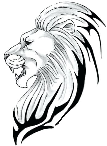 347x471 Drawing Of Lion