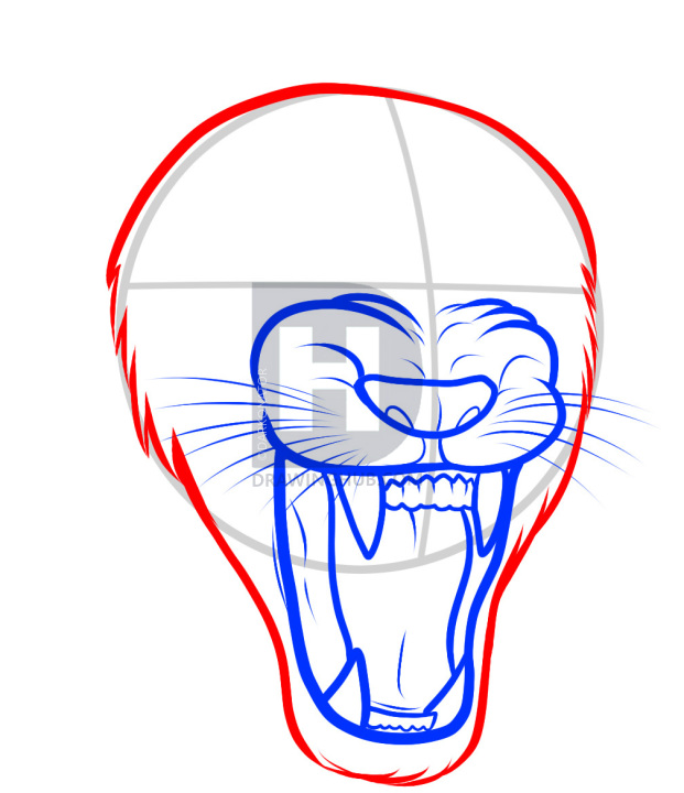 621x720 How To Draw A Lion Roaring