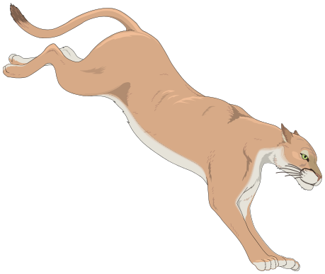 459x387 Drawing Lions Male Lion Transparent Png Clipart Free Download