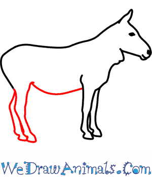 300x350 How To Draw A Mountain Zebra