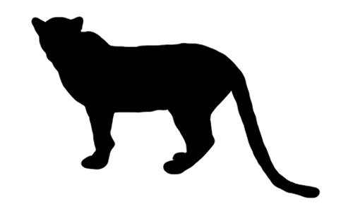 500x300 Mountain Lion Head Silhouette