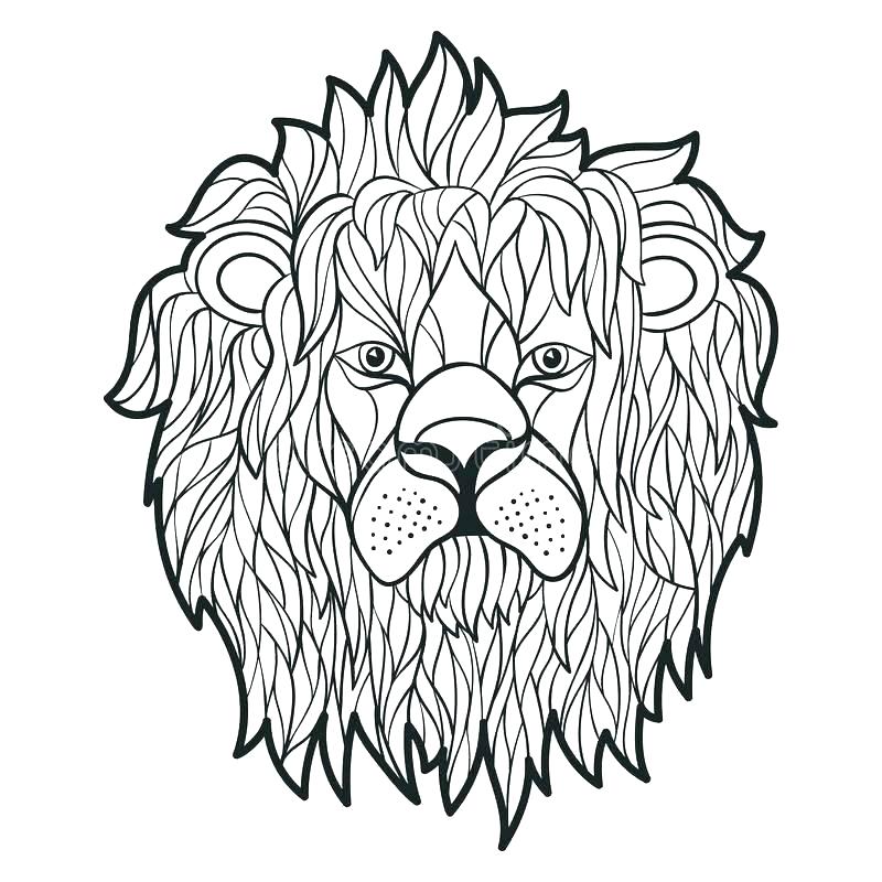 800x800 Lion Head Coloring Pages