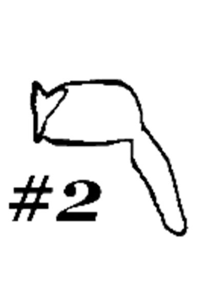 400x600 Skunk Mountain Man