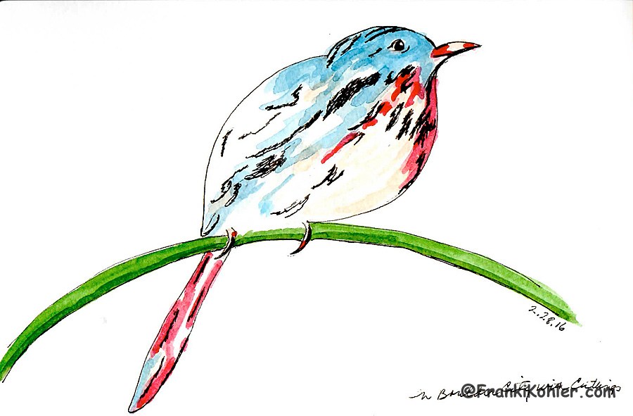 900x591 Last Sketch In The Book! Franki Kohler