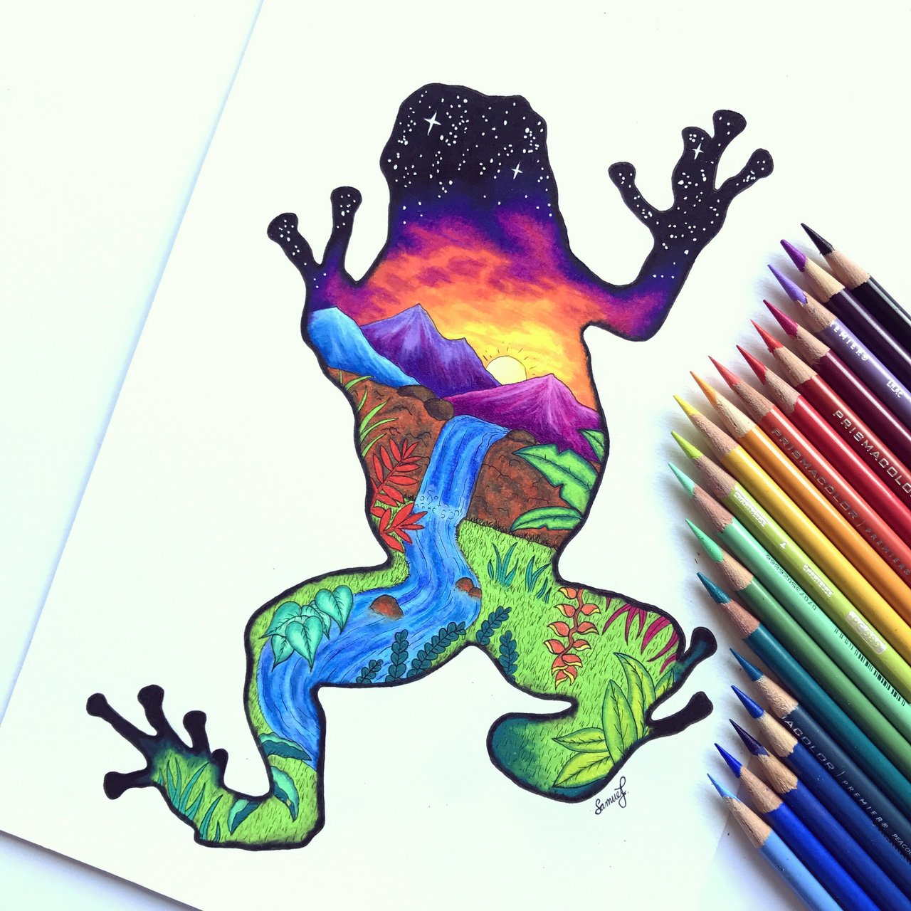 1280x1280 original frog colourful mountain scene drawing samuel j art