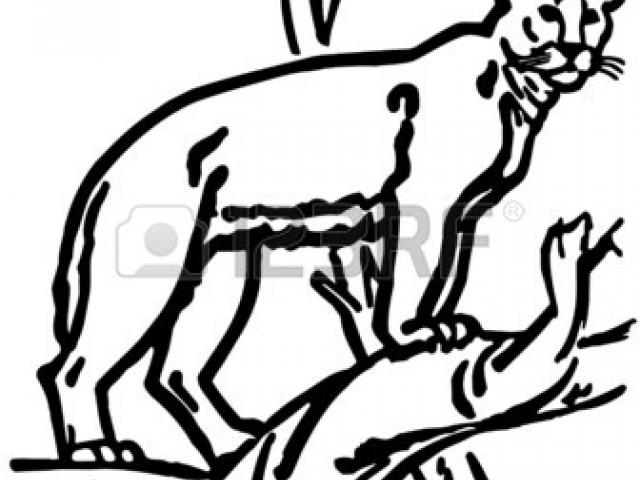 640x480 mountain lion clipart mountain range