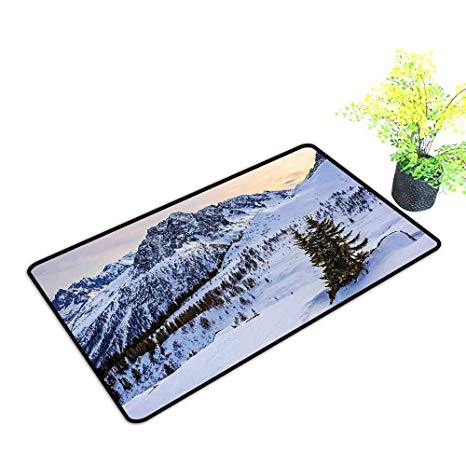 466x466 gmnalahome large door mats shoes scraper landscape