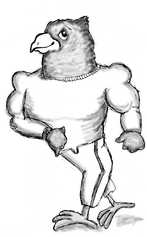 497x800 Seahawks Receive Conference Honors Boothbay Register