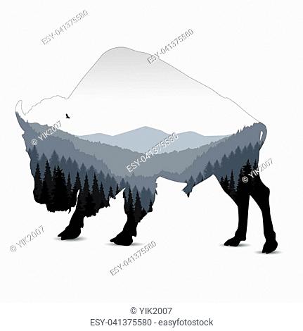 431x470 Valley Park Evening