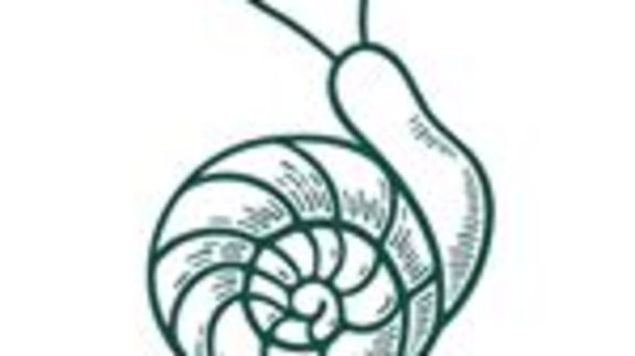 576x323 Best Chef Recommended Dishes In Mountain View Chefsfeed