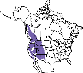 274x242 Collection Of Free Chickadee Drawing Mountain Download On Ui Ex