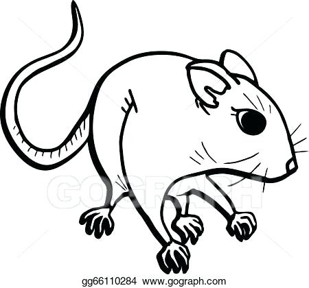 450x420 Draw Mouse Mouse Drawing Draw A Cute Mouse Step