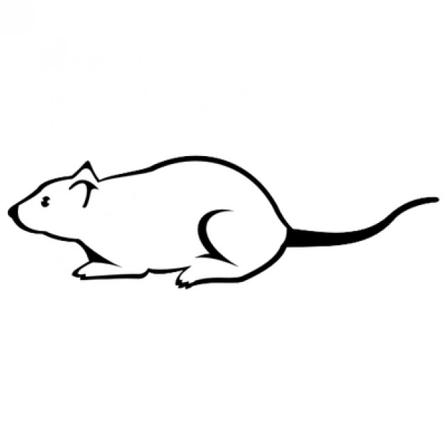 626x626 Small Mouse Line Art Illustration Vector Free Download