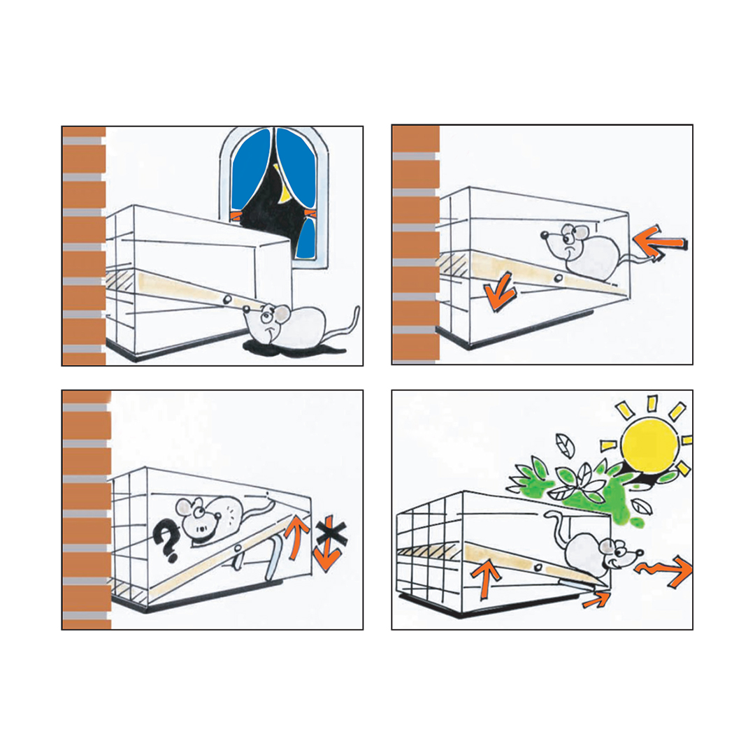 Mouse Trap Drawing | Free download on ClipArtMag