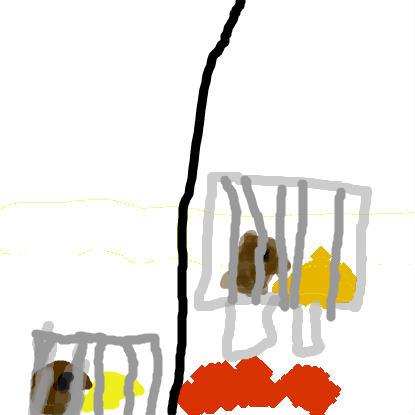 415x415 Project A Mouse Trap That Does Not Hurt The Mouse Design Squad