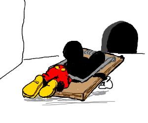 300x250 Mickey Mouse Trap House