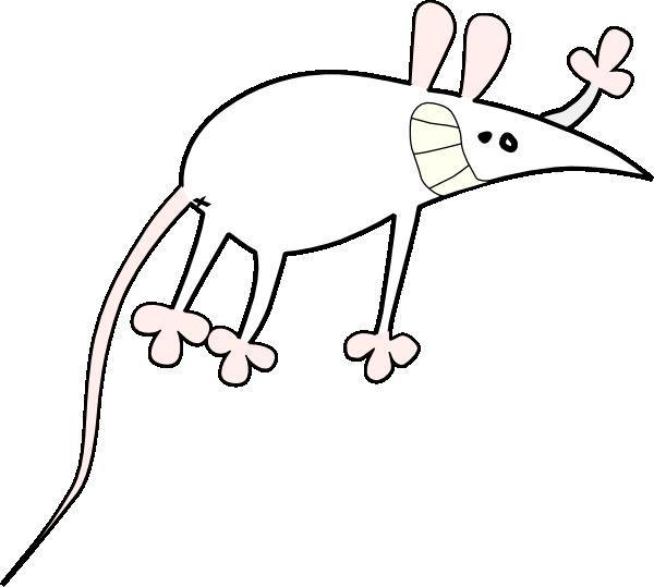 600x539 Uncovering The Mouse Trap For Many Years Of Killing Experts