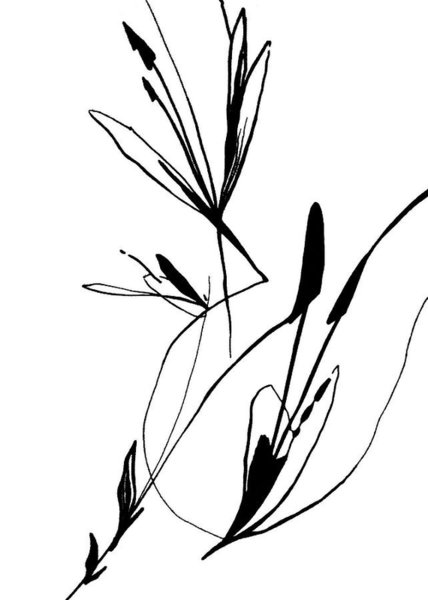 428x600 Organic Movement Drawings