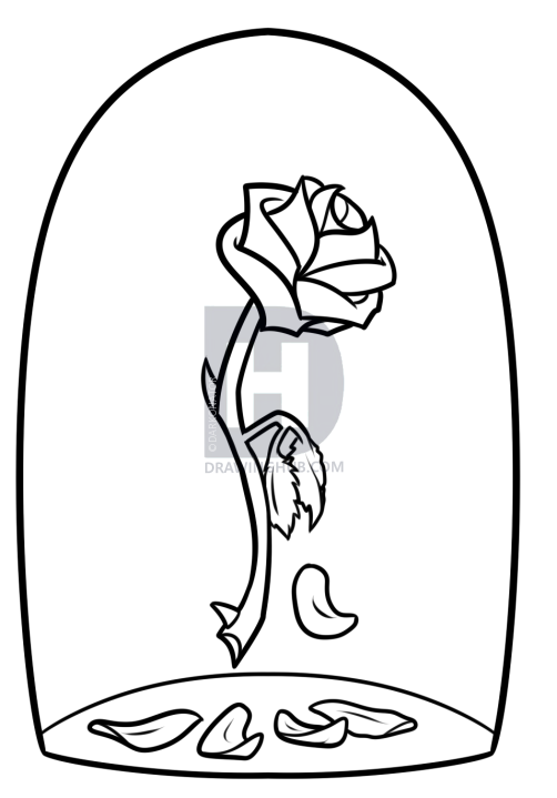 502x719 Beauty And The Beast Rose Drawing, Step