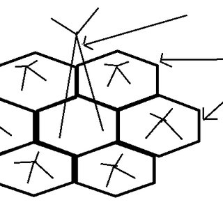 320x320 Path Traces During The Drivetest