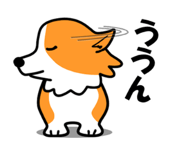 259x210 Moving ! Drawing Kogio