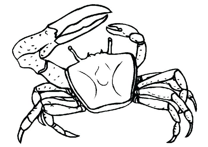700x495 Easy To Draw Crab Image Titled Draw A Crab Step Easy To Draw Mr