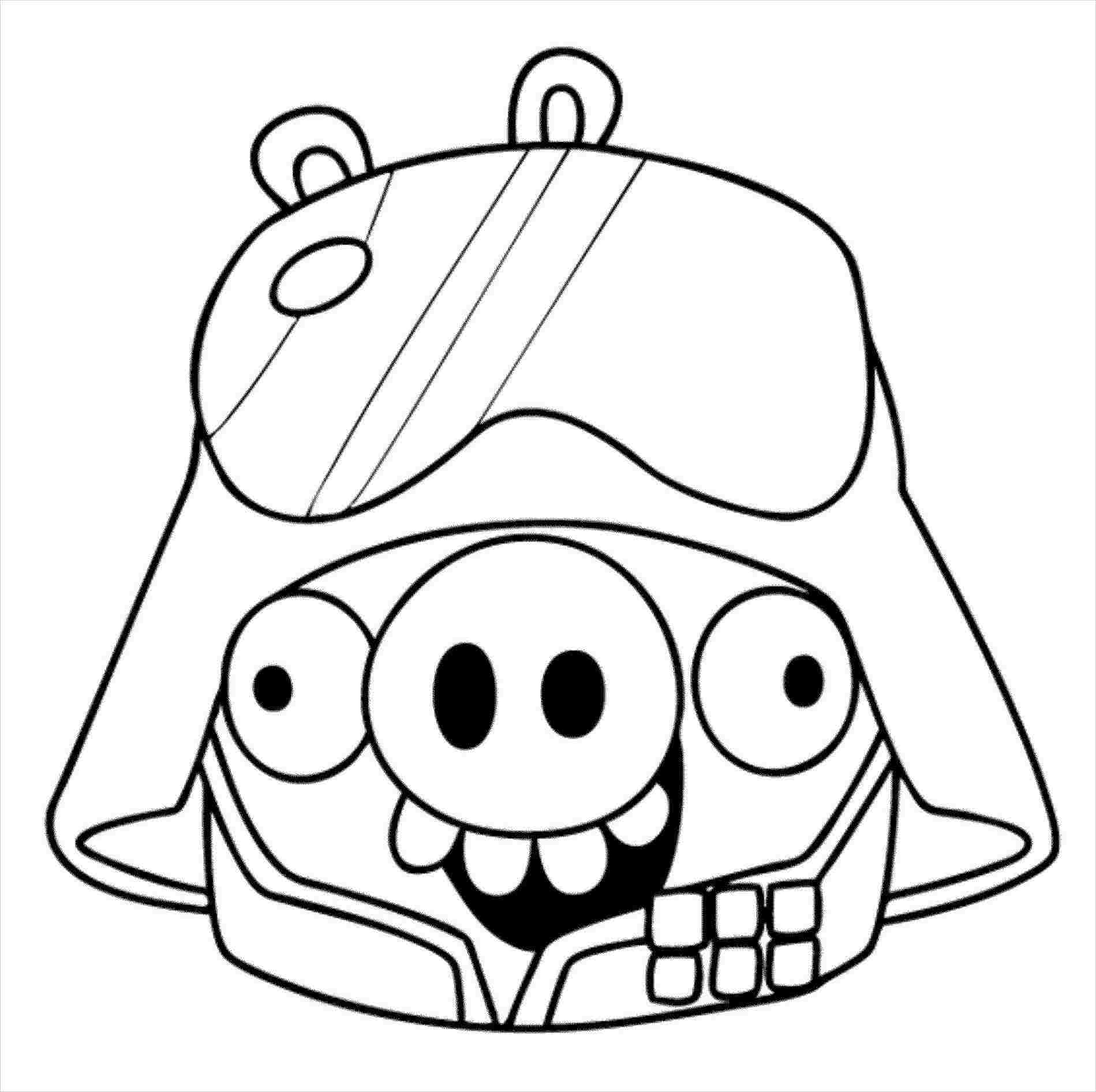 1899x1892 Admin, Author