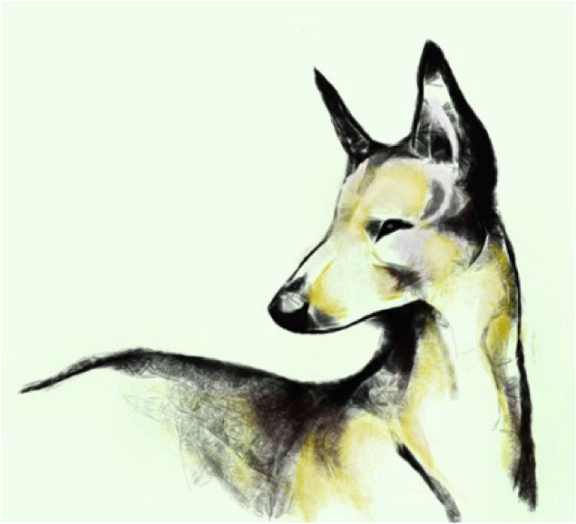 635x578 Drawing At Duke Thoughts On Drawing Nikki Whang