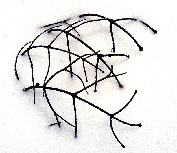 612x531 Reverie Collection Coming Soon