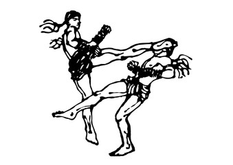 339x240 muay th thai boxing knee fighting vector hand drawn