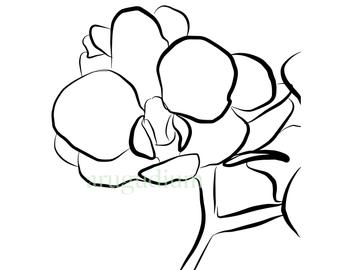 340x270 Flower Drawing Etsy