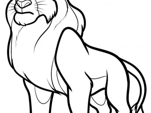 640x480 Mufasa Clipart