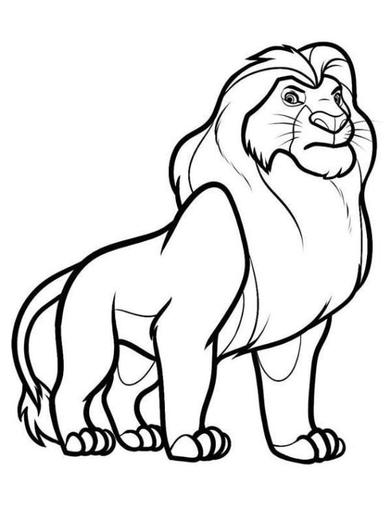 569x740 Proud Lion On Printable Picture For A Child