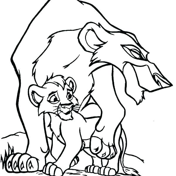 600x600 Scar Coloring