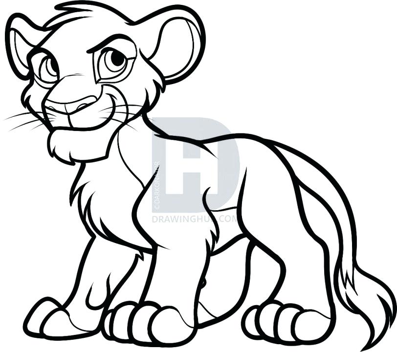 812x720 How To Draw Simba