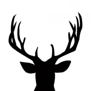 300x300 Deer Head Drawing Mule Deer Skull With Butterfly Ink Pen On Paper