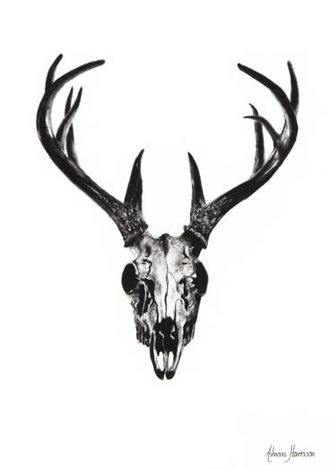 375x525 Deer Skull Drawing