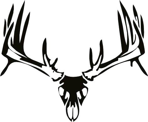 472x391 mule deer skull larger image mule deer skull drawing norths