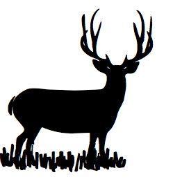 249x269 Mule Deer Drawing For Wilderness Doodles