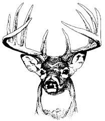 209x241 buck head clipart best deer deer art, elk drawing, deer drawing