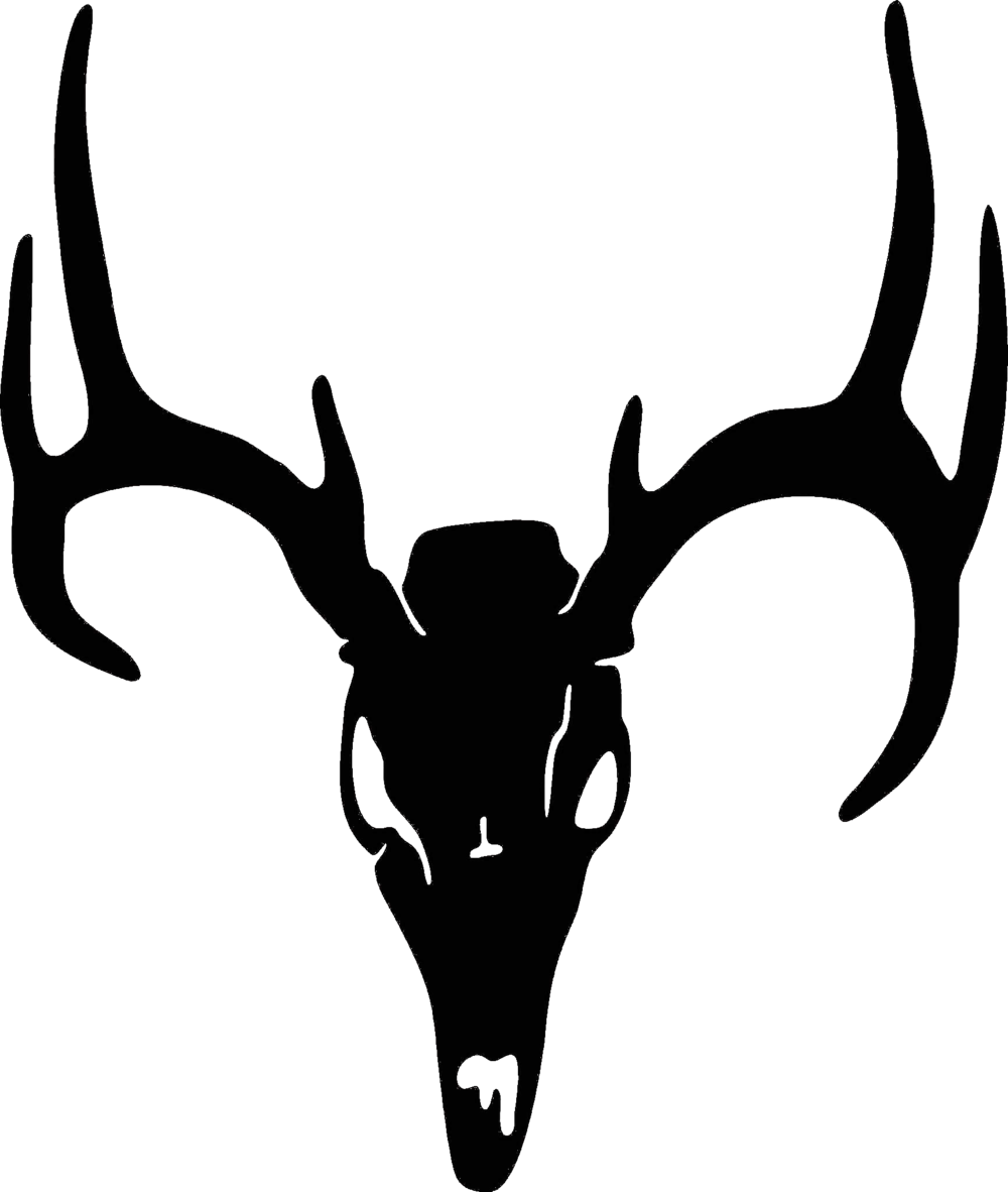 1000x1182 Collection Of Free Buck Drawing Mule Deer Download On Ui Ex