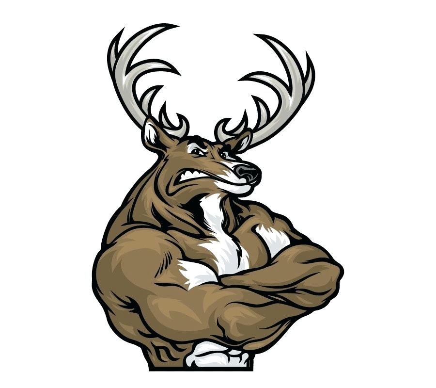 900x800 Drawing Deer Drawing Deer Images