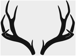 300x220 Deer Antlers Clipart Amazing Deer Skull Drawing Mower Clipart