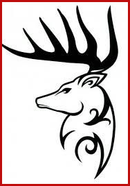 188x268 Deer Drawing How Draw Deer Antlers How To Draw