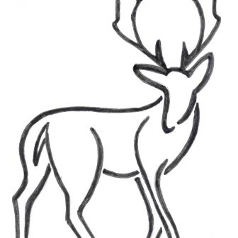 336x336 Deer Head Drawing Easy Cute A Cool Mule Skull I Fertility