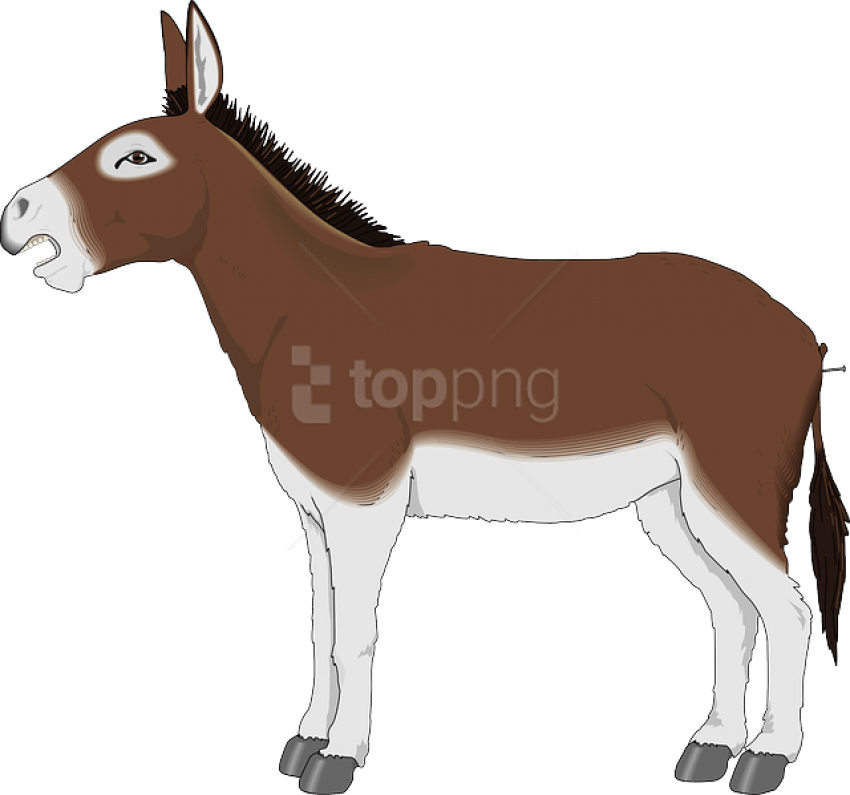 850x795 Download Drawing Donkey Mule Picture Royalty Free