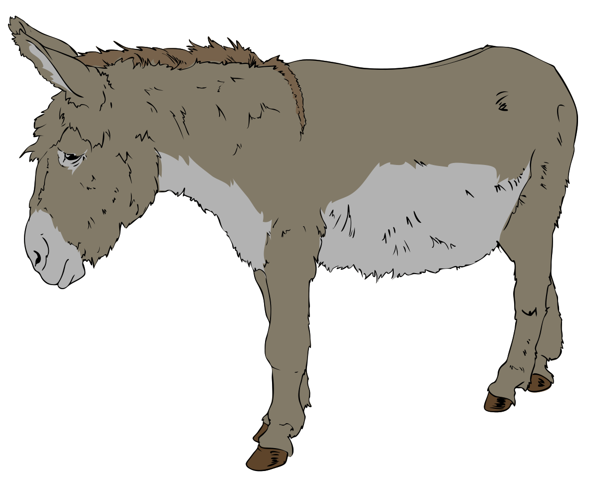 1200x963 Drawing Donkey Farm Animal Transparent Png Clipart Free Download