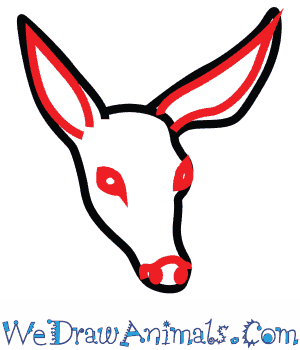 300x350 How To Draw A Mule Deer